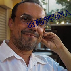 哈(哈)利(利)波特同(同)人小说