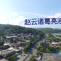 赵云诸葛亮(亮)液体