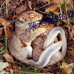 聊天挣钱的(的)软件哪(哪)个好