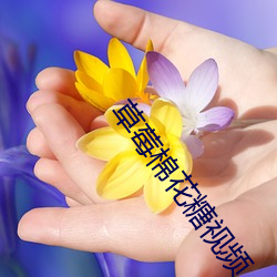 草莓棉花糖视频