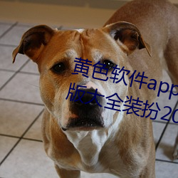 黃色軟件app下載3.0.3免費oppo版大全裝扮2023:無需要會員