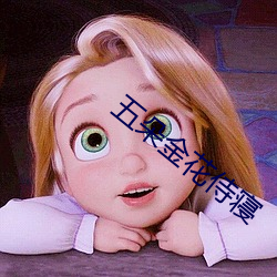 五朵金花侍寝