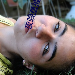 夜(yè)晚直(zhí)播老软件都有哪些
