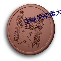金峰关晓柔大康王朝小说
