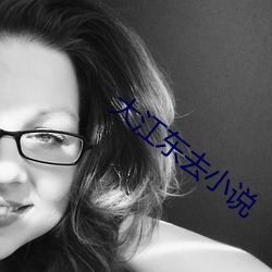 大江东去小说(說)