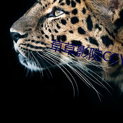 草草影院ccyycom