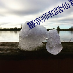 墨(mò)宗师(shī)和踏仙君同时干楚晚