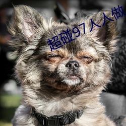 超碰97人人做人人愛少婦全新新區