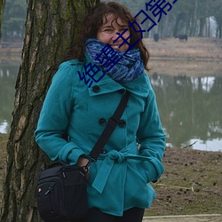 绝望主妇第二季
