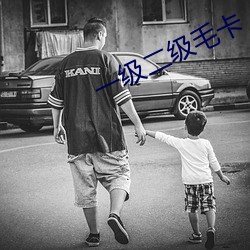 一级二级(jí)毛卡