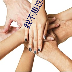 我不(bù)是这种秘书