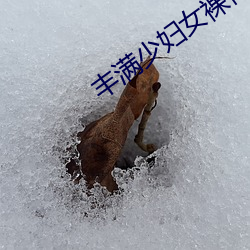 丰满(滿)少妇女裸(裸)体(體)bbw