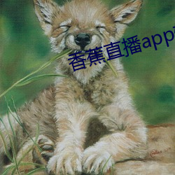 香蕉(蕉)直播app软(軟)件