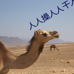 人人(人)操人人干(幹)人人(人)插