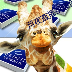 月夜直播视频免费观看大全 （岐出岐入）