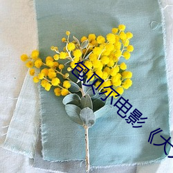 包贝(bèi)尔(ěr)电影《大人(rén)物》免费