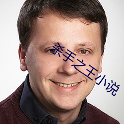 杀手之王(王)小(小)说