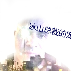 冰(冰)山总裁的宠(寵)妻
