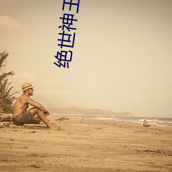 绝世神王(wáng)在都(dōu)市