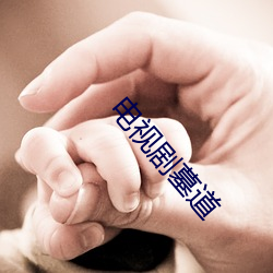 电视剧墓道