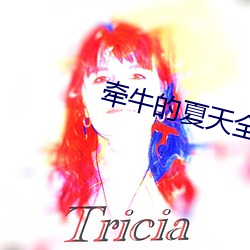 牵牛的夏天全集百度影音