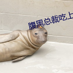 腹黑(黑)总裁吃上瘾