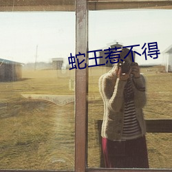 蛇王惹不(bù)得