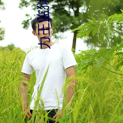 力王监狱四天王免费观看完