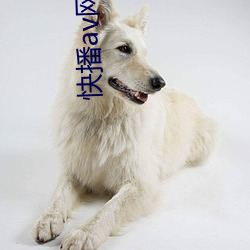 快(kuài)播av网站(zhàn)