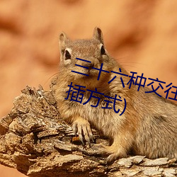 三十六种交往技巧(72种45分钟扦插方式)