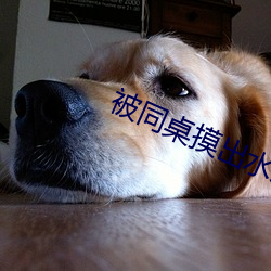 被(bèi)同桌摸出水来了好爽(shuǎng)的视