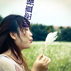 秘密直播隐藏房间(jiān)号