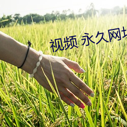 视频 永久网址
