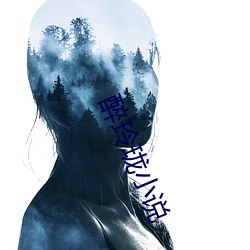 醉玲珑小說