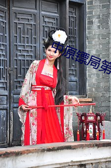 中原镖局第三部全集在線觀