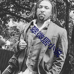 翠(翠)微居小说(說)
