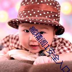臧精阁1安全入口