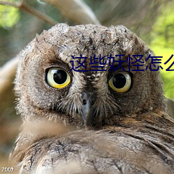 这(zhè)些妖怪怎么都有(yǒu)血(xuè)条