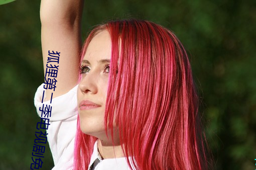 狐狸第(dì)二季电视剧免费观看