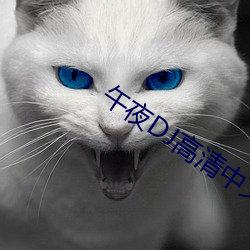 午夜dj高清中文免费观看 （蚌病生珠）