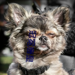 冠冕唐皇