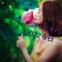 仙踪林网站入口欢迎你免费进入林(2022今日