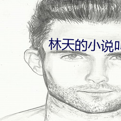 林(林)天的小(小)说叫什么