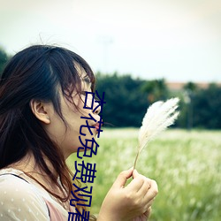 杏花免費觀看mv