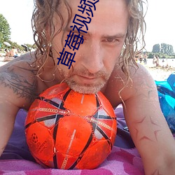 草莓視頻app在線觀看免費下載