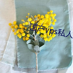 国产(産)vps私人(人)片(片)