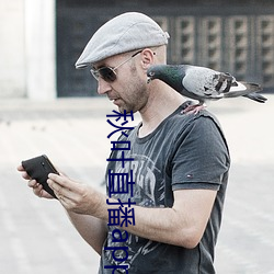 秋葉直播app官網下載