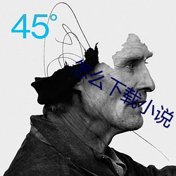 怎么下载小说