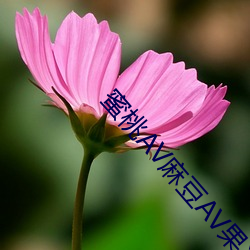 蜜桃av麻豆av果冻传媒