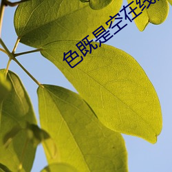 色既是(shì)空在线观看(kàn)